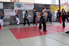IMG_0445
