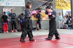 IMG_0477