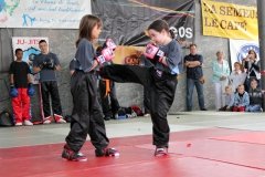 IMG_0480