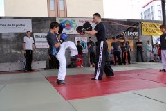 IMG_0488