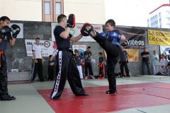 IMG_0520