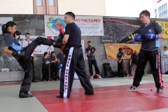 IMG_0531