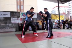 IMG_0539
