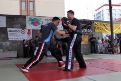 IMG_0540