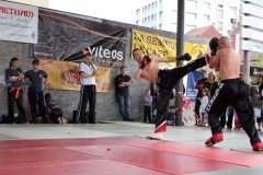 IMG_0660