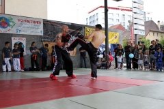 IMG_0679