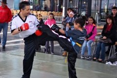 IMG_0801