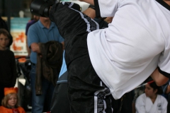 Photo_048