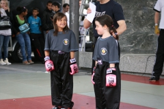 Photo_101