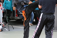 Photo_148