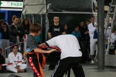 Photo_237