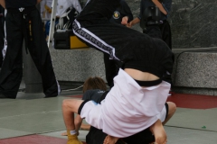 Photo_245