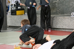 Photo_246