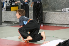 Photo_247