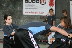 Photo_252