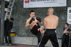 Photo_281