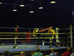 P1000702_mini