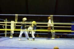 p1000103